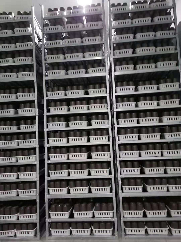 不锈钢培育架