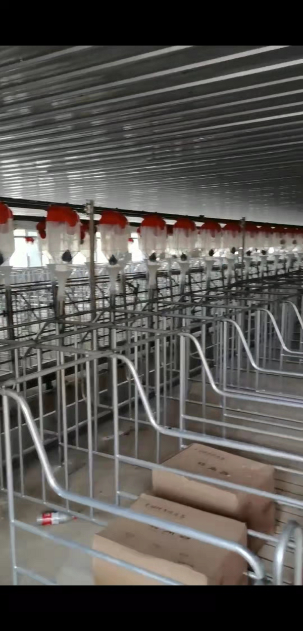 机械构造用管——养殖场上料输送管
